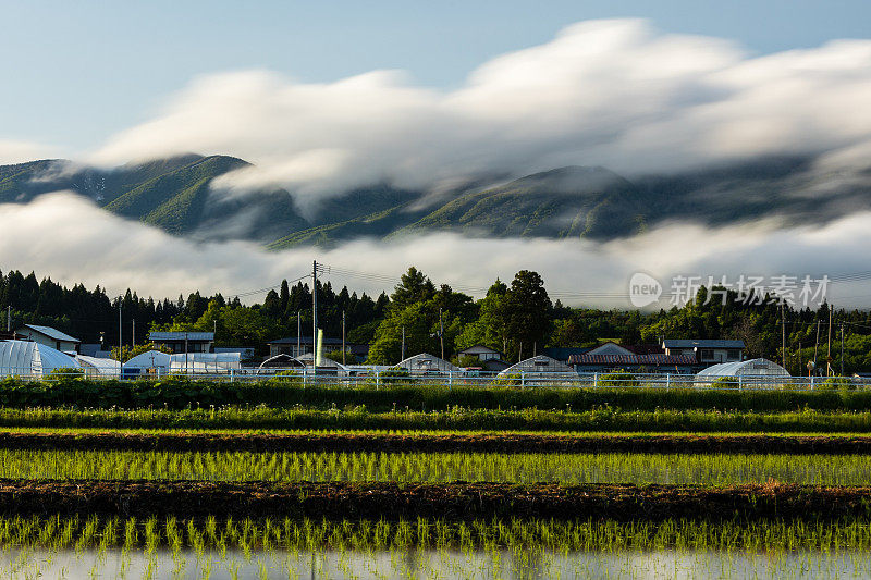 有风的移动的云在山上和乡村农场的场景