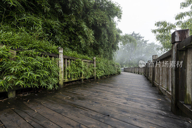 雨后，城市公园的木板路在晨雾中