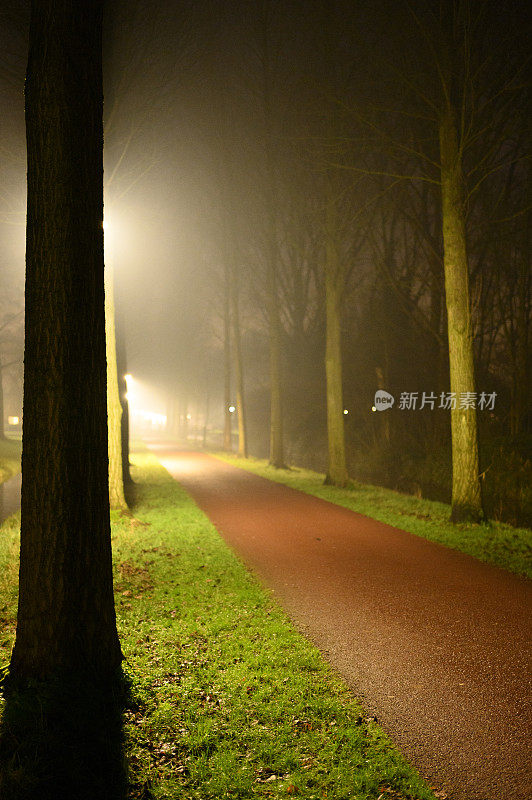 雾蒙蒙的夜晚，路灯照亮了这条小路
