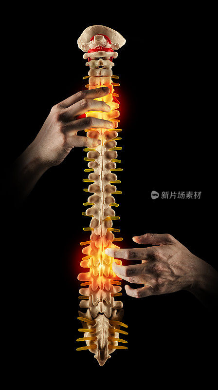 按摩,概念。专业脊椎指压师以手法治疗脊柱疼痛患者。骨干健康