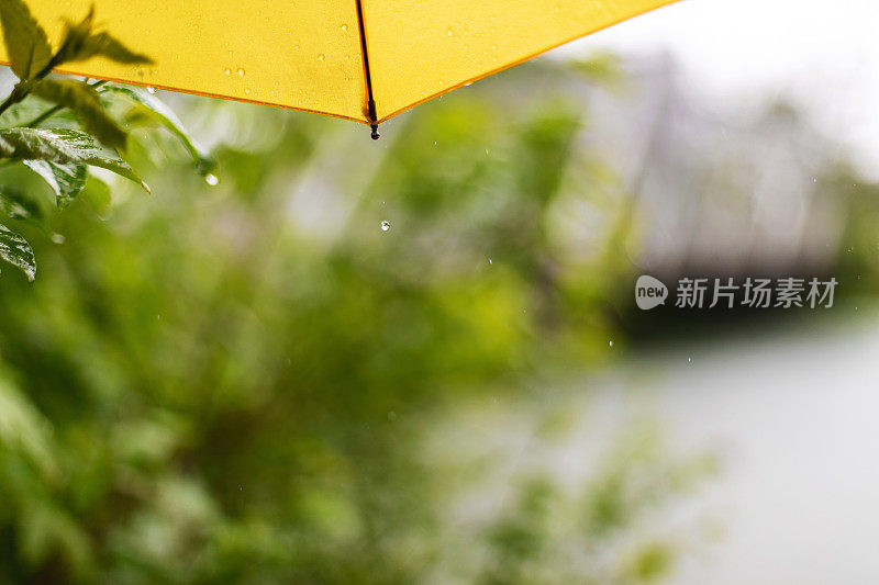 雨中的邻居桥-美国中西部在春天的天气和季节照片系列