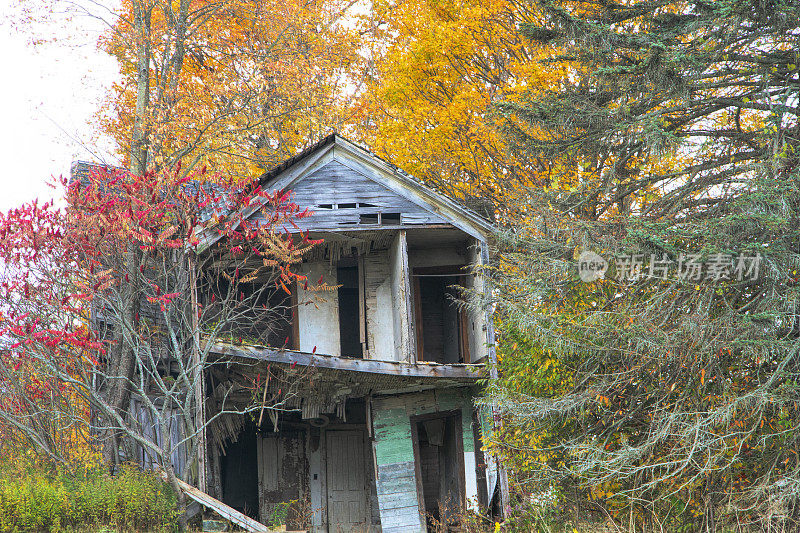 调查废弃建筑物