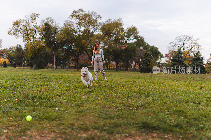 一名年轻女子在公园外把球扔给她的萨摩耶小狗