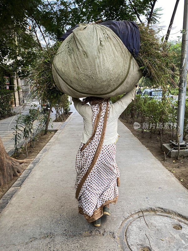 图像无法辨认，印度妇女穿着，纱丽传统服装，走在城市林荫大道人行道上，背着沉重的花园垃圾在一个大麻袋在头上，后视图，重点在前景