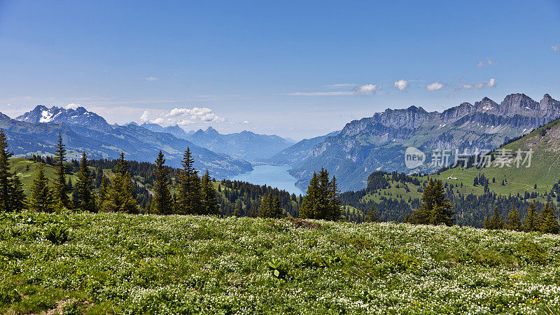 帕尔弗里斯附近的高山草地，可以看到瓦伦泽湖