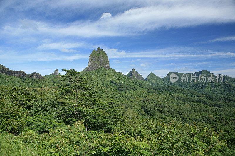 丛林高峰