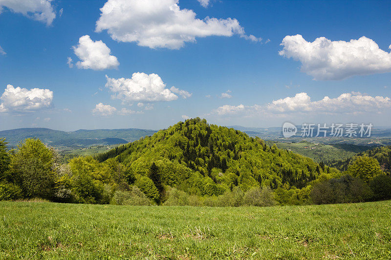 五月的山景。Beskid,波兰。