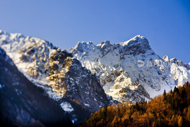 欧洲的阿尔卑斯山