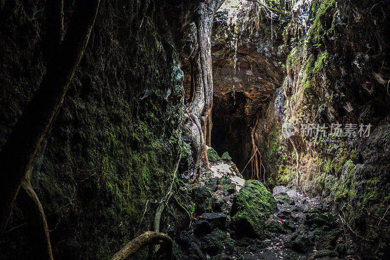 新西兰兰伊托岛的洞穴。