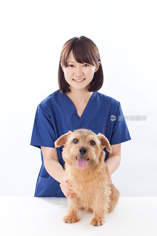 带着狗的日本女医生