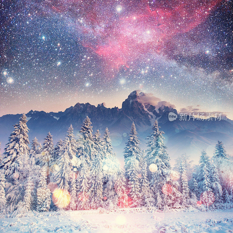 《星际迷航》里冬天的树林。喀尔巴阡山,乌克兰,欧洲
