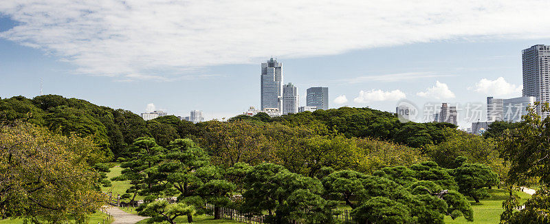 东京绿色地平线