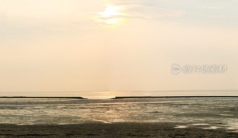 退潮时瓦登海的日落