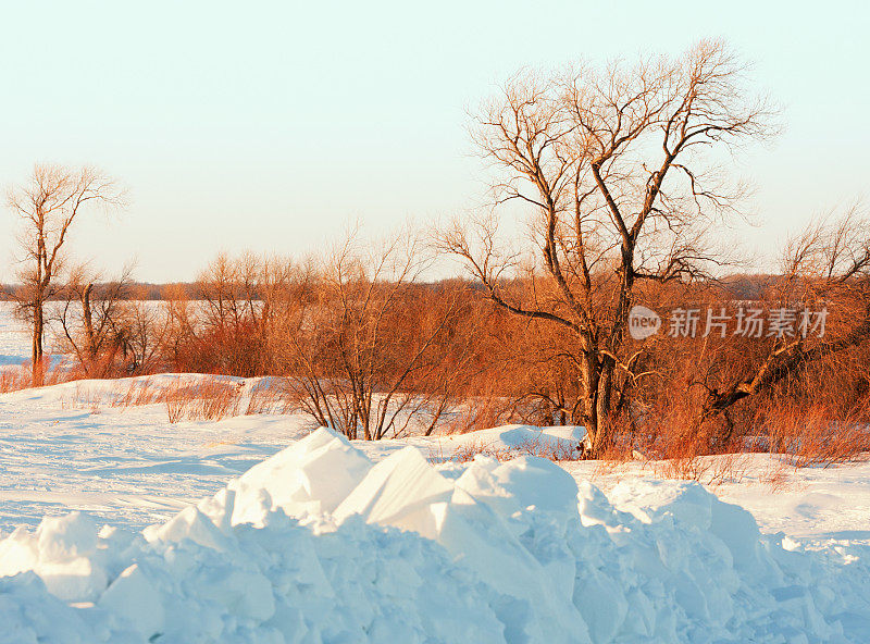 冬天的风景