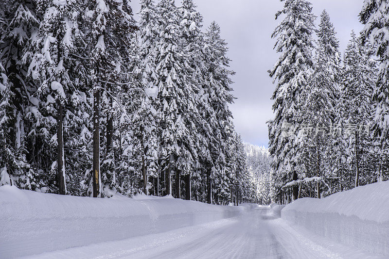 雪路