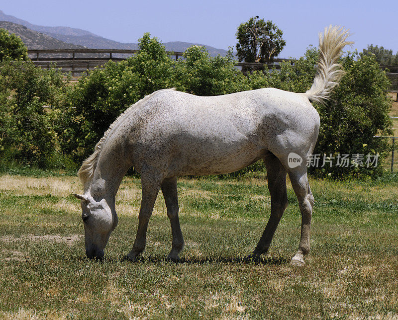 共进午餐