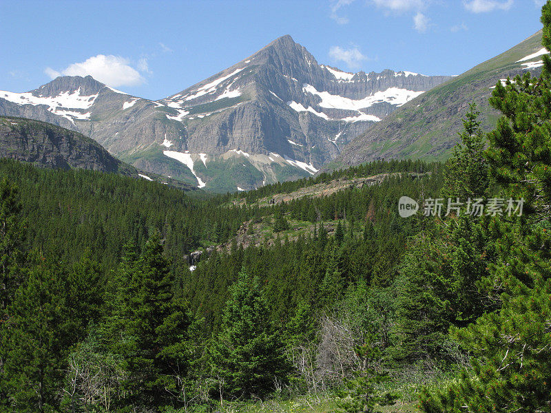 冰川山森林森林