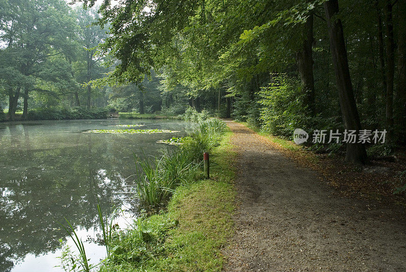 沿着池塘的森林小径