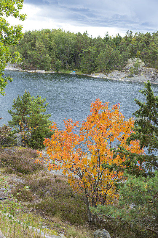 斯德哥尔摩群岛的秋天