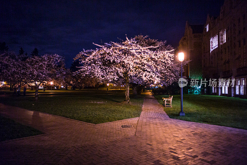 华盛顿大学夜校