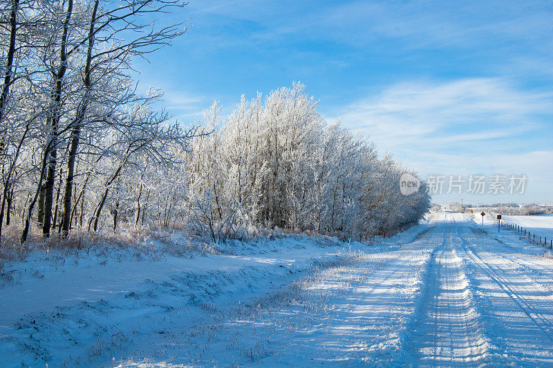 草原冬天的景象与霜雪在树上-路边