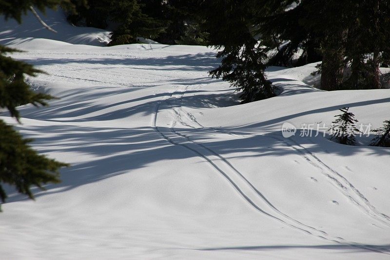 越野滑雪轨道