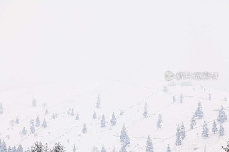 多雾的冬天的风景