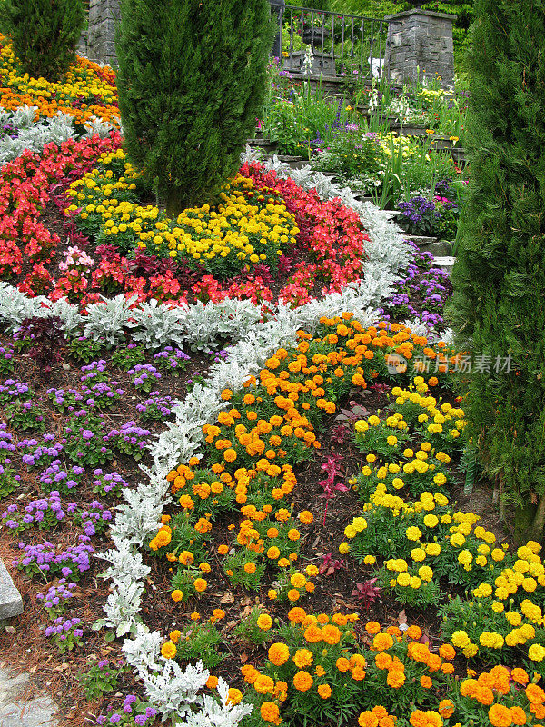 美丽的花卉公园-因赛尔・迈瑙