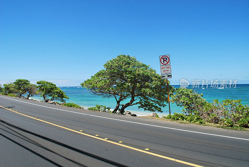 瓦胡岛卡米哈米哈高速公路的景色