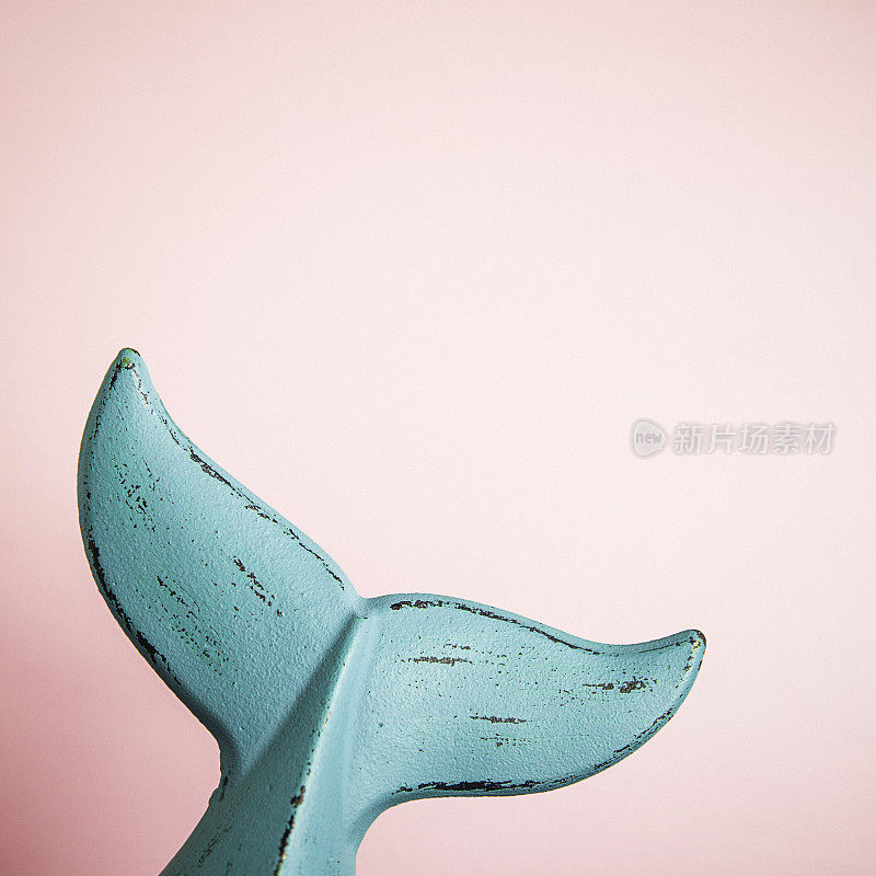 亮粉色背景上的鲸鱼尾巴