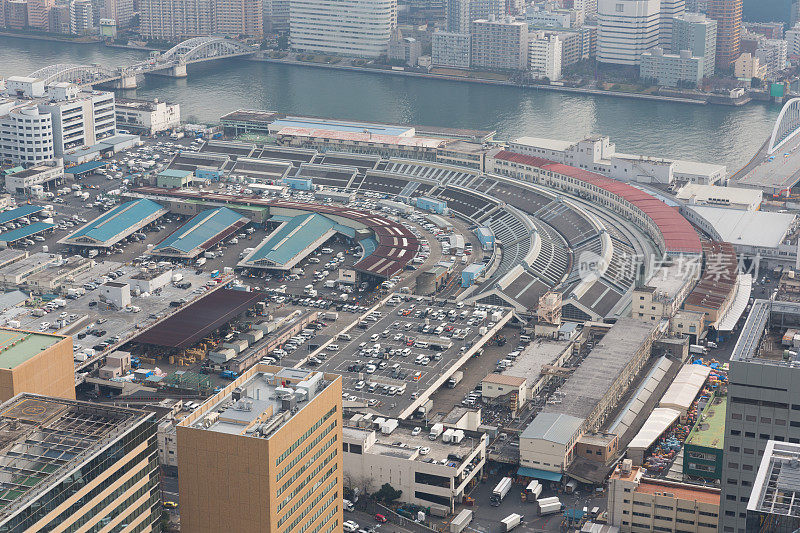 日本东京筑地鱼市的高视角