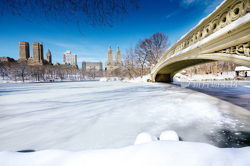 下雪的纽约中央公园