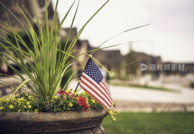 花卉和美国国旗的花园种植美国节日