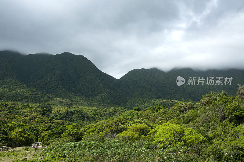 利亚穆加山-圣基茨