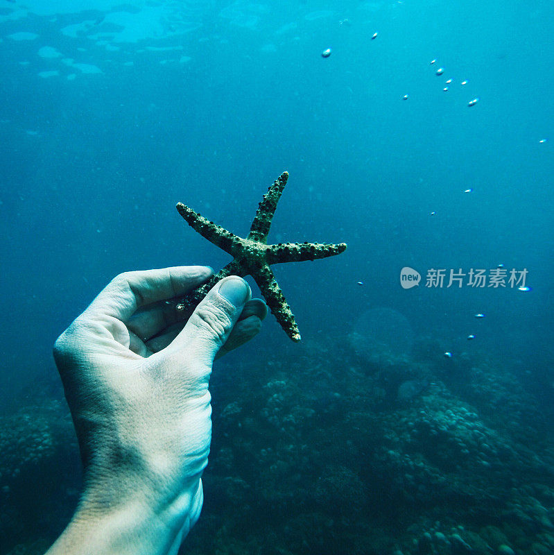 水下牵手海星。在热带岛屿巴厘岛潜水