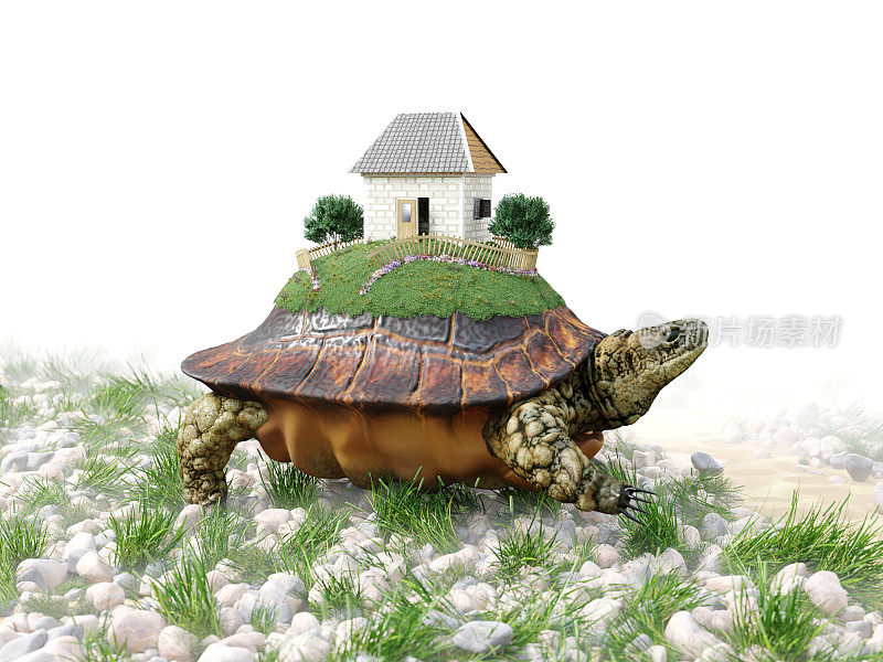 龟与玩具屋来自纸房地产企业概念照片