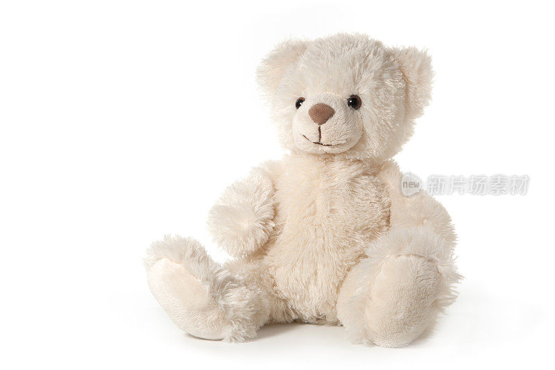 泰迪熊孤立在白色