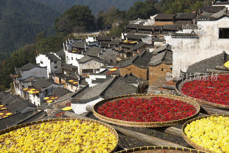 婺源，中国最美丽的村庄