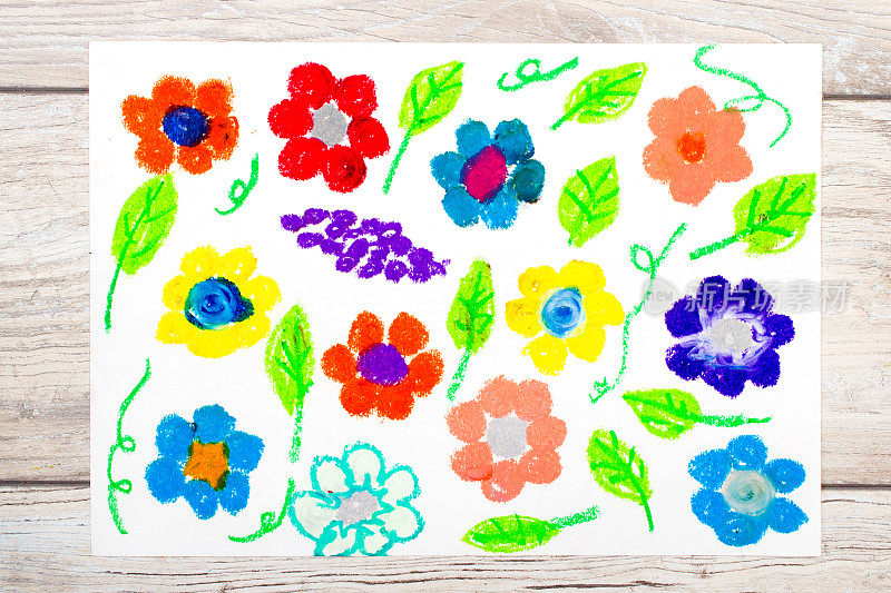 彩色图画照片:花园里美丽的花朵。