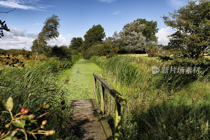 景观与池塘在德国北海地区