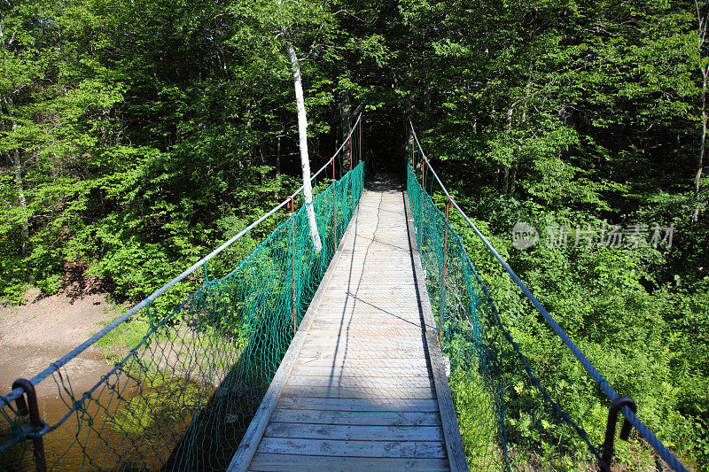 树林里的吊桥