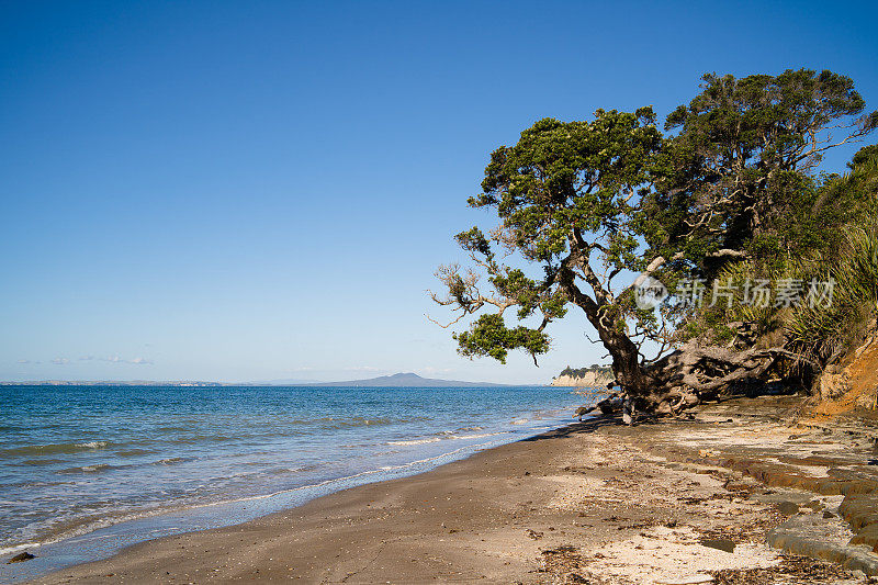 兰伊托岛从长岛海滩，奥克兰，新西兰。