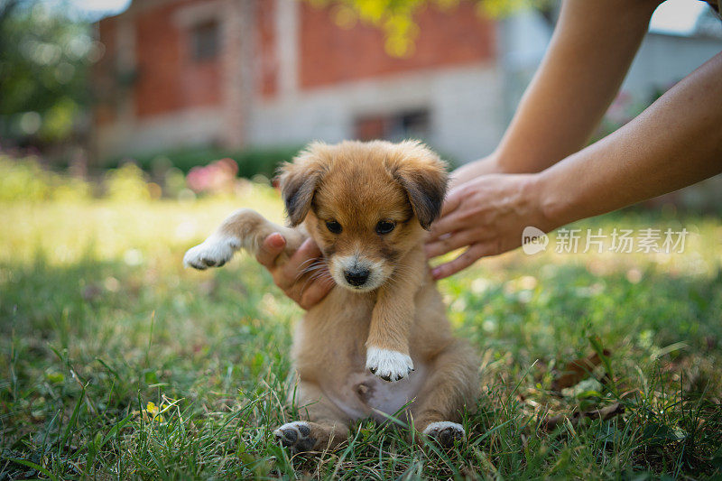 一个面目全非的女人在户外和小狗玩耍