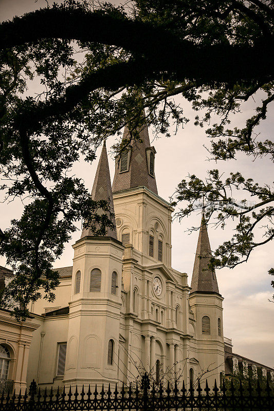 圣路易斯大教堂，橡树枝，黑吃，新奥尔良