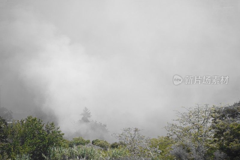 城市附近的田野着火了