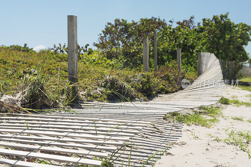 飓风厄玛摧毁了佛罗里达迈阿密海滩的围栏