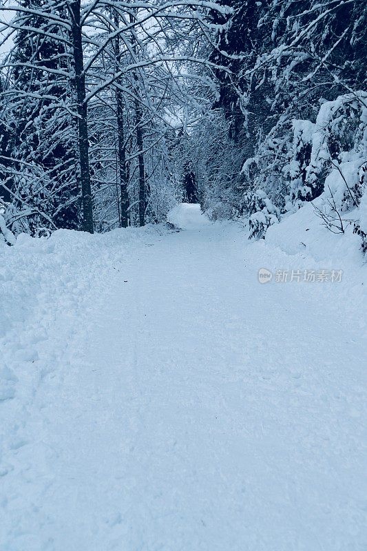 在欧洲阿尔卑斯山脉，冰雪覆盖的冬季景观和森林