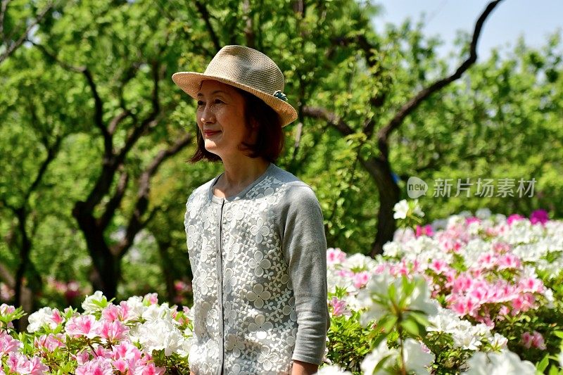 一个日本女人走在盛开的杜鹃花的公园里