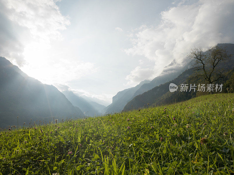 从wilderswill俯瞰Lauterbrunnen山谷。