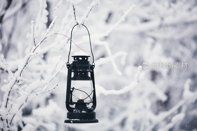 古老的灯笼挂在白雪覆盖的树枝上